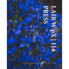 (영문도서) LAIR W pX 116 Press Paperback, Blurb, English, 9798331176815