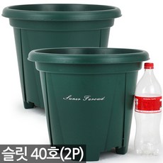 세인화분 대형 슬릿 화분 2P 세트 - 큰화분 슬릿분 플분 중형화분 플라스틱화분 슬릿화분 거실화분 인테리어화분 매장화분 베란다화분 사무실화분, 2개, 슬릿화분(그린)_40호