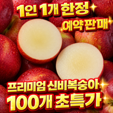 [재구매1위] 2주한정 고당도 신비복숭아, 1개, 1kg 소과 (18과내외)