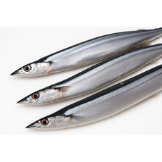 냉동 소포장생선 꽁치 1kg(8마리~10마리)간편 조림 구이용, 1개, 1kg