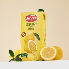 토해원 후버 NFC 100% 착즙 레몬즙, 1개, 3L
