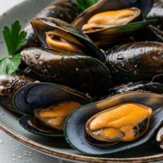 푸른마을 제철 통영 생 햇 홍합 산지직송 통통한 홍합, 1박스, 햇 홍합 2kg