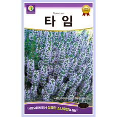 [주주씨앗] 타임 씨앗 1000립 / 상큼한 소나무향 허브 백리향 종자 / 봄 가을 파종 채소 씨앗몰, 1개