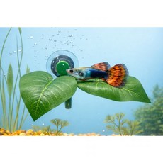 하프문베타 꽃침대 어항 휴식처 장식, 베타침대