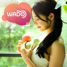 [와두]국내생산 필라테스 마사지볼 싱글볼 or 피넛볼