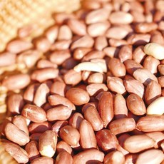 25년 대성농협 국산 고소한 볶음알땅콩, 5개