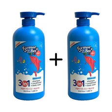 포멀비 3 in 1 워시 1000ml X 2개, 1L