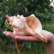 뿔나팔 뿔 소라 고둥 나팔 천연 트럼펫 피리 조개 호루라기 관악기 초대형 공예 피리, 1개, G. 920cm 빨간색 나선형 숫자