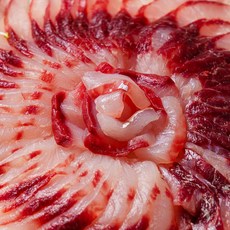 봄 제철 자연산 남해안 보리 숭어회 필렛 모듬양념장 포함, 2개, 280g