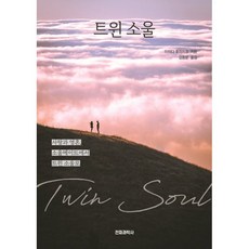 雙生靈魂, 飯田史彥, 電波科學社