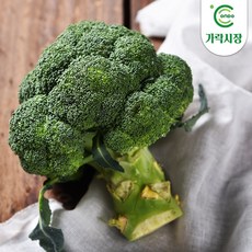 [온도씨]가락시장 당일경매 브로콜리1개(약300g), 1개
