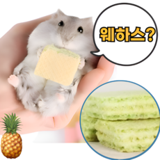 햄스터 파인애플 웨하스 햄스터웨하스간식 햄스터이갈이 햄스터간식, 6개, 그린 (파인애플맛)