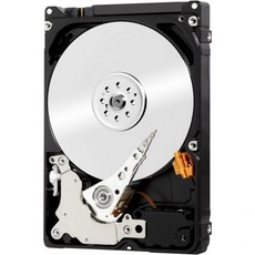 시게이트 엔터프라이즈 용량 3.5 HDD 콘스텔레이션 ES 4테라바이트 7200RPM, 1TB, SAS
