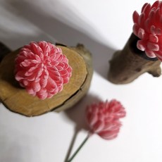 仿真花 乾燥花裝飾, P37仿真多肉+木頭底座(隨機), 1套