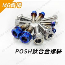 POSH 鈦合金螺絲 內外六角, 1個, 未燒色,5x10, M4 M5 M6