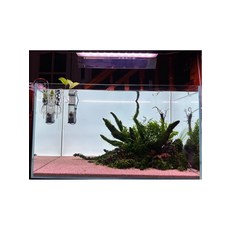 어항 백스크린 수족관 백라이트 대형 조명용품, 1개