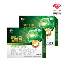 동화약품 혈행엔 기억력 징큐란 은행잎추출물 징코 11종기능성, 120정, 2개 120정, 2개