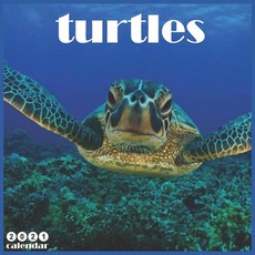 Turtles 2021 Calendar: Official Tortoise & Sea Turtles Wall Calendar 2021 18 Months Paperback, Independently Published