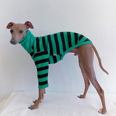 도기스타 아이쥐옷 이탈리안그레이하운드옷 배색 단가라티, 그린, 1개