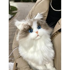 로봇 고양이 심리안정 동물 돌봄 발송 안정 부드러운 인형, 1. 배 고양이 - 기본