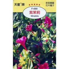天星牌 紫茉莉Mirabilis 種子-野菜部屋 Y57, 1包