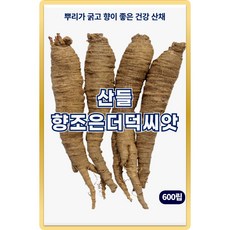 산들 향조은 더덕 씨앗 600립 뿌리 굵고 건강에 좋은 한방 약재 더덕씨 종자, 5개