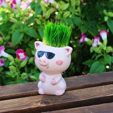 귀여운화분 고양이 돼지 잔디키우기 새싹 원예 반려 학습 diy 잔디머리 체험 식물 장식, 선글라스를쓴돼지새끼(쟁반보내기)풀사랑, 1개