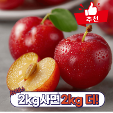 100박스한정 2kg+2kg특별행사 초고당도 햇자두 대석자두, 1개, [2kg+2kg특가]햇자두 대석자두 4kg (중)