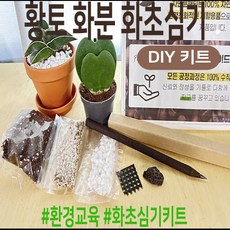 황토화분 화초심기 DIY 키트 화초심기 종합 세트 원예교육키트 커피 연필 포함, 1세트, 드라세나 스튜키