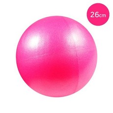 아이비스 소프트미니볼26cm(SP)-핑크, 핑크