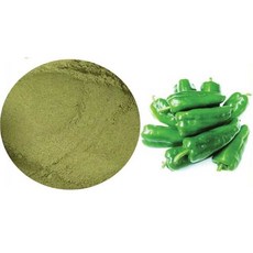 아삭이오이고추추출분말 100g 샘플 shd*81476mB, 1개, 단품, 1g