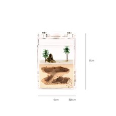 螞蟻帝國 漫遊埃及地底屋，一體式立體單面石膏巢，迷你型螞蟻飼養觀察, 1個