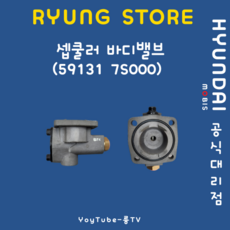 셉쿨러 바디밸브(591317S000), 1개, 단품