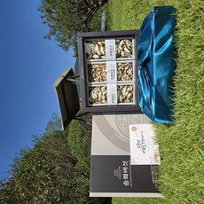 [산지직송]프리미엄 송화버섯 표고버섯 송이버섯 선물세트 가정용 1kg, 1개, 600g(프리미엄 선물용)