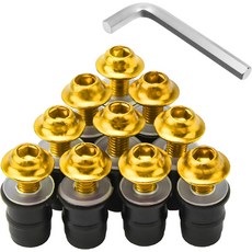 Rdxcv 10 PCS 모터사이클 윈드실드 볼트 나사 키트 알루미늄 합금 장착 너트 와셔 렌치 포함 페어링을 위한 범용 윈드스크린 바디 패스너파란색, Golden