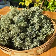 중국차 선물 고급 꽃차 특산품 운남성 삼칠차, 1개, C. 청수화 500g