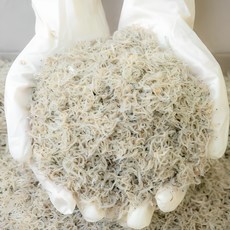 오늘의바다 국산 햇 아기멸치 밥멸치 (당해 생산) 세세멸치, 300g(지퍼백), 1개