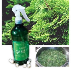 좀벌레피톤치드 편백액 편백나무 액 추출물 집곰팡이 벽지담배 냄새 토냄새 탄내 제거, 1개