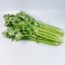 국내산 샐러리 셀러드 신선한 건강 샐러드 쥬스용 채소, 3kg, 1개