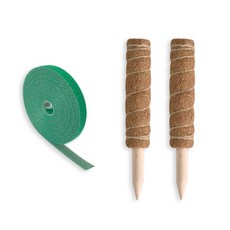 필플랜트 수태봉 식물지지대 연결형 30cm 2p + 원예용벨크로 5m 1p, 1세트, 1세트
