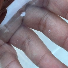 VITO zakka 蛋糕玻璃罩含相思木盤，烘焙擺盤拍攝道具，食物防塵罩, NO.2號NG品多氣泡(不影響使用), 1個