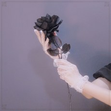 洛麗塔 蕾絲 花邊 夏季 薄款 網紗 透明 防曬 手套 鏤空 婚紗手袖 拍照 仙氣 甜美 修身 時尚 高級