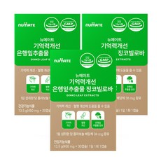 뉴메이트 기억력개선 은행잎추출물 징코빌로바 (3박스3개월분), 30정
