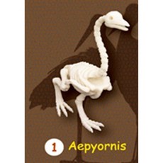 시조새뼈화석발굴 - 이피어니스