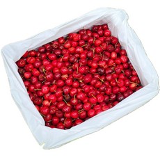 체리 생체리 미국산체리 칠레산체리 칠레체리 체리500G 체리3KG 체리5KG, 그외 수입산 생체리, 1박스, 500g