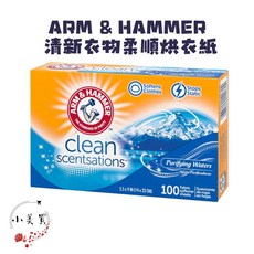 ARM & HAMMER 鐵鎚牌 清新衣物柔順烘衣紙 100張 去靜電, 1個