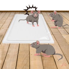 어번던트코리아 쥐덫 쥐덫수동형, 1개