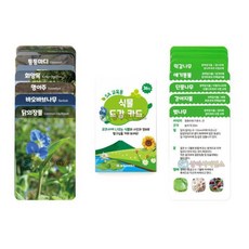 식물 도감 카드 교육용 36종 과학 학습 교구 과학교구 집콕놀이 과학상자 과학키트, 1개