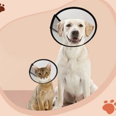 미요몰 반려동물 넥카라 강아지보조기구, 7호