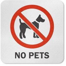 SmartSign 14.6 x 14.6cm(5.75 x 5.75인치) \"No Diving\" SlipSafe 접착 수영장 안전 마커/표지판 20mm 두께의 라미네이트 비닐 미, 반려동물 없음